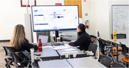 two people viewing a large screen in a classroom setting